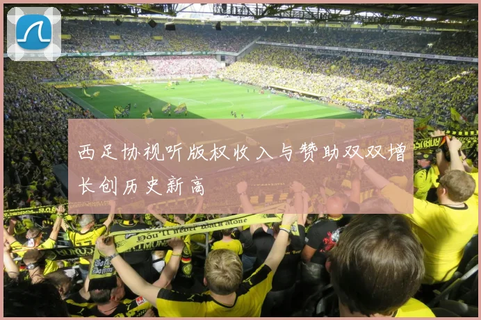 西足协视听版权收入与赞助双双增长创历史新高